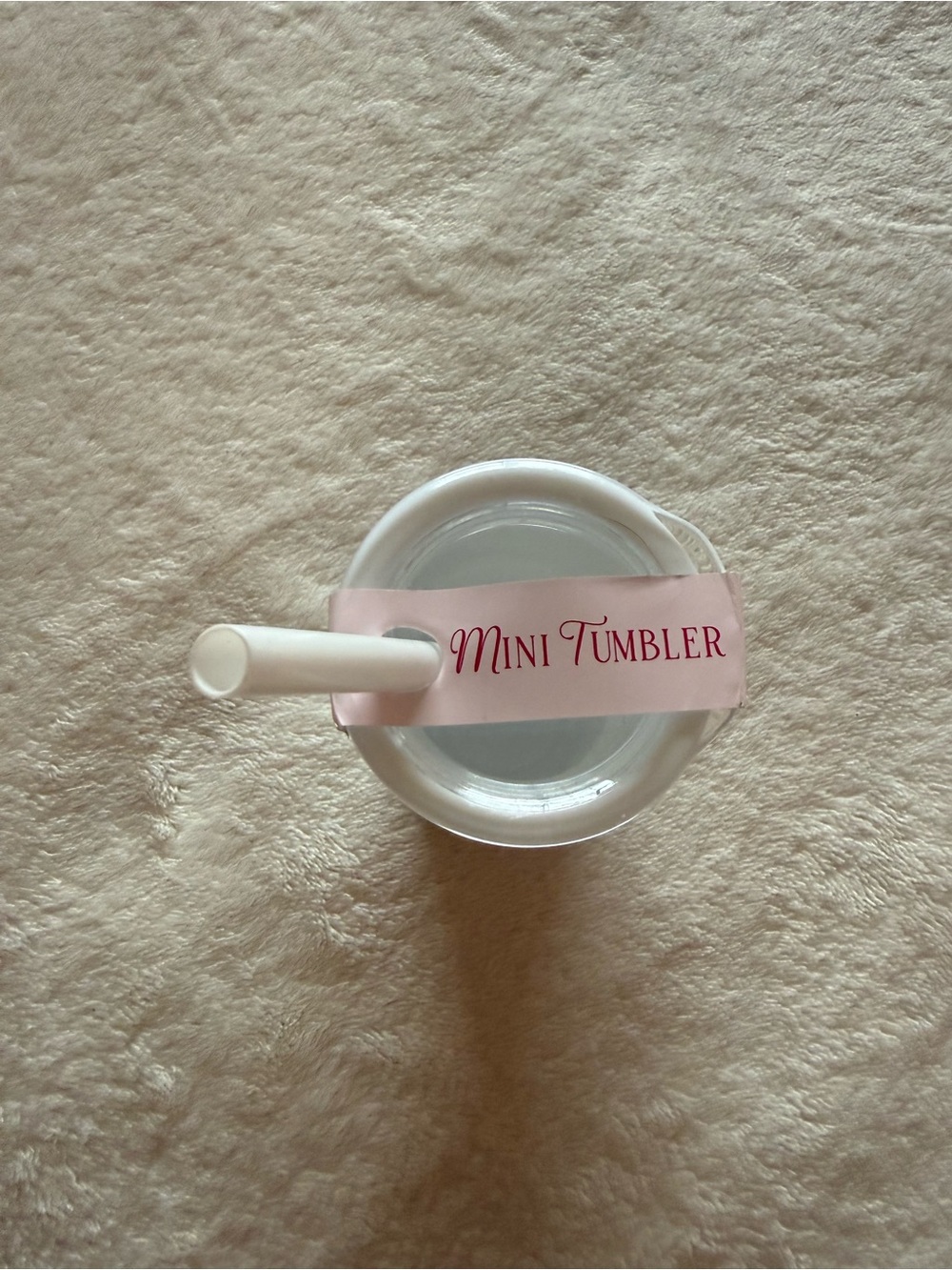 Mini Tumbler/container